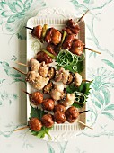 Yakitori chicken skewers (Japan)