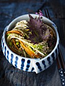 Soba noodles with matcha tea, vegetables and sesame seeds (Japan)