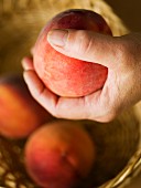 A man testing the ripeness of peach