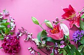 Various flowers - lilies, clustered bellflower, peonies, phlox - on pink surface