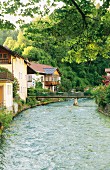 Der Fluß Traun fliesst durch Bad Aussee, Steiermark