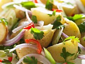 Kartoffelsalat mit roten Zwiebeln, Koriandergrün und Chilies (Close Up)