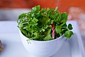 Fresh herb salad