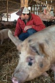 A farmer in a pig pen