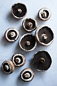 Mushrooms and Portobello mushrooms