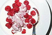 Fresh raspberries in milk (seen from above)