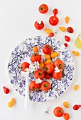 Grape tomatoes, cherry tomatoes and white cherry blossom