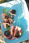 Octopus skewers ready to grill
