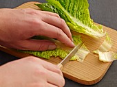 Cos lettuce being sliced
