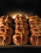Hot cross buns for Easter on a baking tray