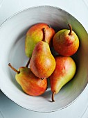 Clapp's Favourite pears in a bowl