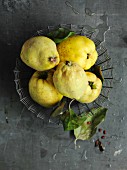 Quinces with leaves in a wire basket