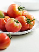 Mehrere Tomaten auf weißem Teller