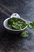 A bowl of fresh coriander leaves