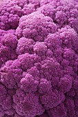 Purple cauliflower (full frame)