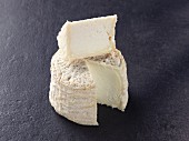 Nolte – French sheep's milk cheese from Touraine