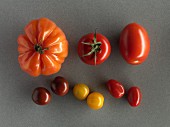 Various different tomatoes on a grey surface