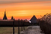 Sonnenaufgang am Bodden, Darß - Vorpommersche Boddenlandschaft