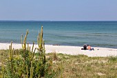 The beach at Schaabe – spit on the Baltic Sea island of Rügen