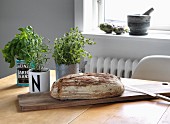 Various kitchen herbs planted in tin cans and mug next to farmhouse loaf on wooden board