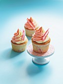 Cupcakes mit Rhabarber-Vanille-Creme