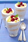 Yogurt dessert with lemon cream, mango and raspberries