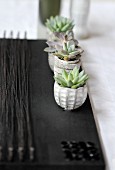 Small succulents in little, grey stone pots on black placemat