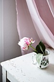 Peony in retro vase on table in front of pink curtain