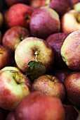 Organic apples (full frame)
