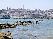 View over the sea looking towards Larache, seen from the beach, Morocco