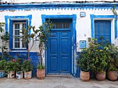 A typical blue-and-white house façade with pot plants in the old town of Asilah, Morocco