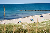 Blick von der Steilküste auf den Strand mit Strandmuscheln und Sonnenschirm bei Ahrenshoop