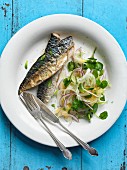 Fried mackerel fillets and a fennel and onion salad with apricots