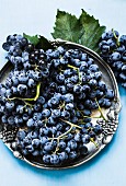Blue grapes on a metal plate