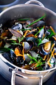 Mussels with dill in a pot