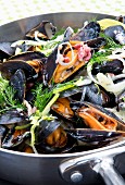 Mussels steamed in white wine with bacon, onions and dill