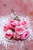Pink roses with icing sugar