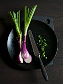 Spring onions on a black plate with a knife (Asia)
