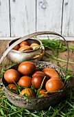 Fresh brown chickens eggs in a metal basket