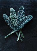 Cavelo Nero cabbage leaves on a dark background