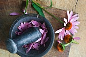 Echinacea Purpurea petals in a mortar