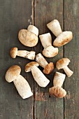 Porcini mushrooms on a rustic wooden table