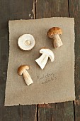 Porcini mushrooms on a piece of paper