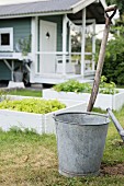 Zinc bucket and spade handle on lawn in front of raised bed of lettuce and garden shed