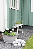 Downspout leading to zinc tub of geraniums and wooden bench against facade of green wooden building