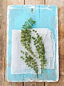 Fresh thyme on a blue wooden board