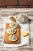 Apple and herring salad with mayonnaise on apple slices