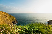 The coast of Gunwalloe (Cornwall, England)