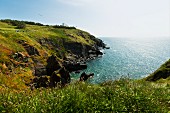 Lizard Point, südlichster Punkt Englands in Cornwall