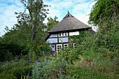 Reetdachhaus mit Garten in Quilitz auf Usedom
